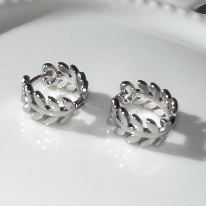 silver steilness steel earrings