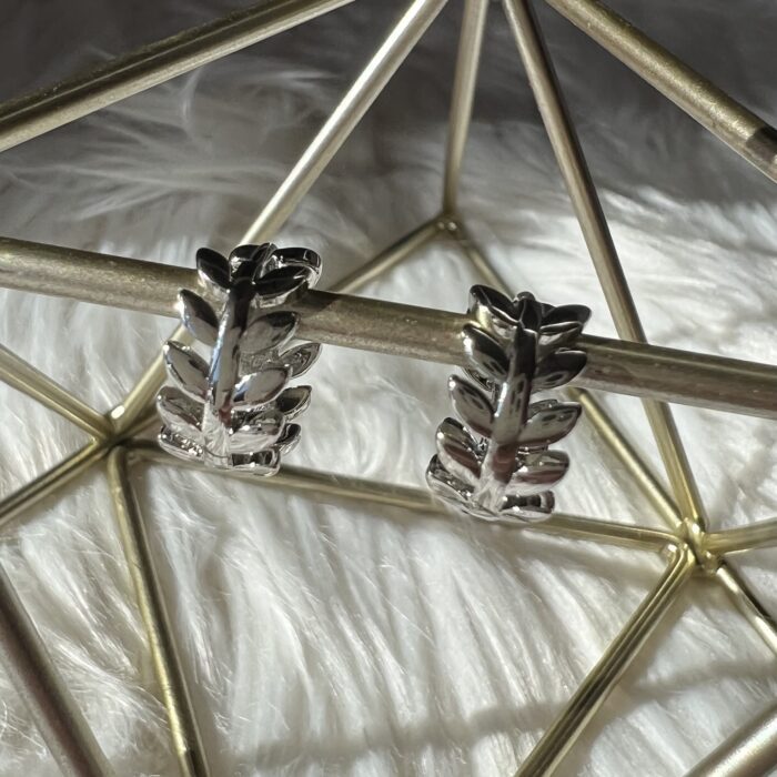 silver steilness steel earrings